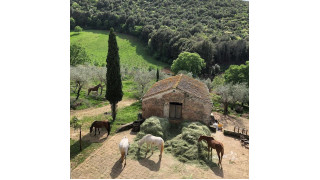 Nông trại Ebbio, Tuscany, nước Ý – nơi từng là chốn thiêng của Etruscans, Ebbio 